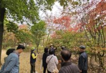송파구, 산림치유로 치매 예방 돕는다!