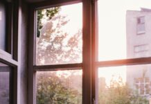 새벽형 인간이 되는 팁 books beside window during sunset