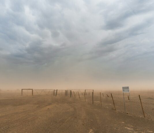 주말_공휴일에도 출동한다…구민들을 위한 '환경 불편 해소 기동반' 운영 desert with wire fence